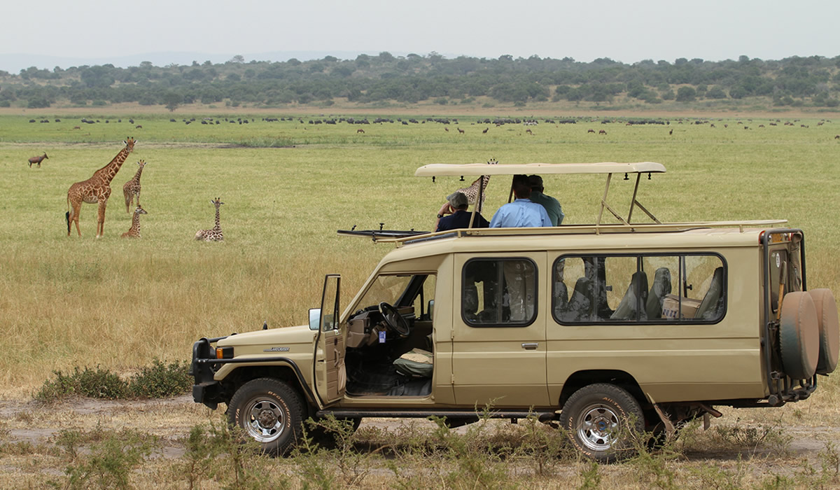 How Much Does a Rwanda Safari Cost?